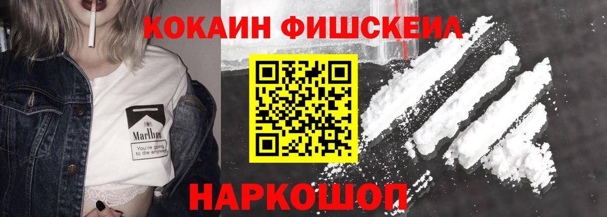 COCAIN Боливия  Петропавловск-Камчатский  COCAIN Эквадор 