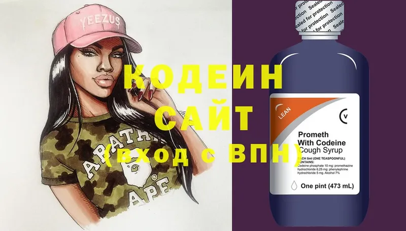 ссылка на мегу ТОР  купить наркоту  Петропавловск-Камчатский  Кодеиновый сироп Lean Purple Drank 