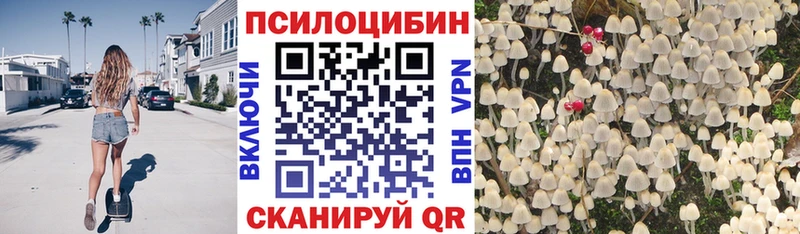 Галлюциногенные грибы мицелий  Петропавловск-Камчатский 