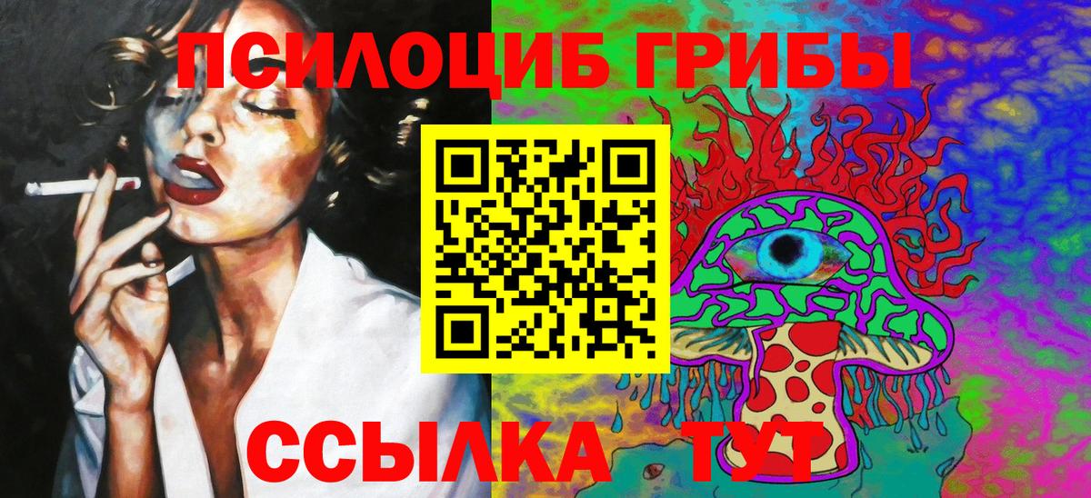 Псилоцибиновые грибы MAGIC MUSHROOMS Петропавловск-Камчатский