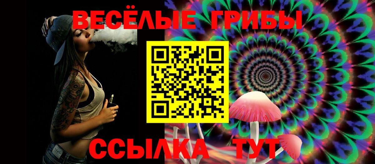 Псилоцибиновые грибы GOLDEN TEACHER  Псилоцибиновые грибы Psilocybe  Вход с VPN  Петропавловск-Камчатский 