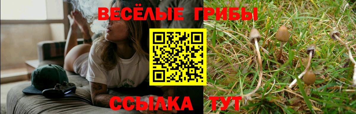 Псилоцибиновые грибы Psilocybe Петропавловск-Камчатский