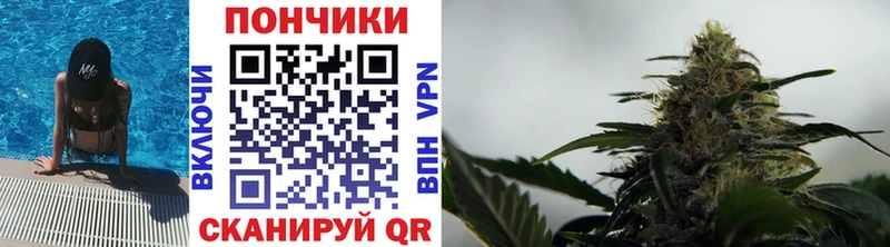 Бошки Шишки LSD WEED  сайты даркнета телеграм  Петропавловск-Камчатский  hydra tor 